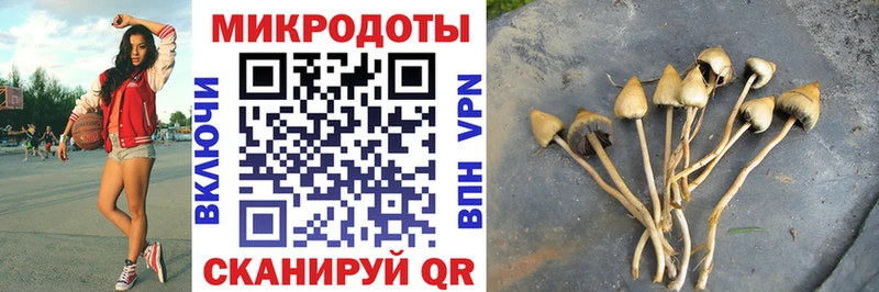 Галлюциногенные грибы Magic Shrooms Купить где Окуловка